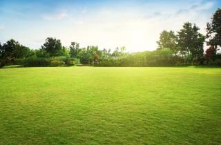 I problemi principali di chi desidera il prato all’inglese