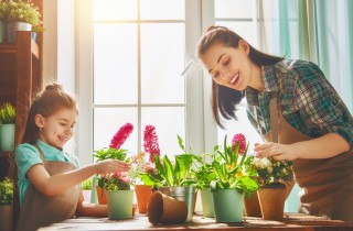 I fiori migliori per chi soffre di allergia