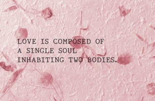 Frasi belle sulla vita e sull'amore brevi da dedicare a chi vogliamo bene