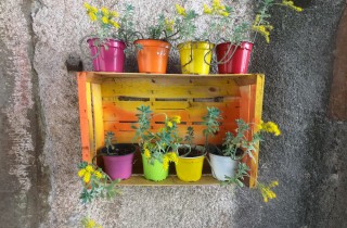 Come conservare i vasi di plastica, argilla e ceramica durante l'inverno