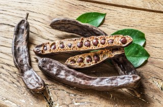 Decotto di carrube: le proprietà e come farlo
