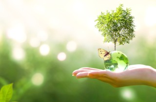 ProNature, quando sostenibilità ed ecologia diventano sinonimi di prodotti di qualità