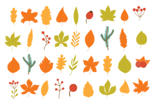 Gioco memory bambini con le foglie: come realizzarlo