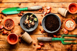 Regali festa della mamma con la passione per l’orto