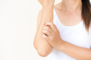 Malattie trasmesse dalle zanzare: le cose da sapere su malaria e febbre dengue