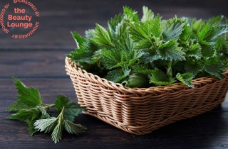 Tutti i benefici dell'ortica per i capelli