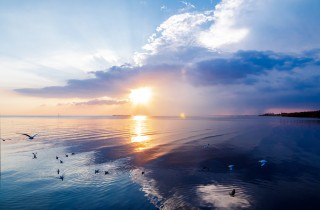 Montale: 5 poesie da rileggere per i 40 anni dalla morte