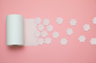 Fiori di carta igienica fai da te per rallegrare la stanza da bagno