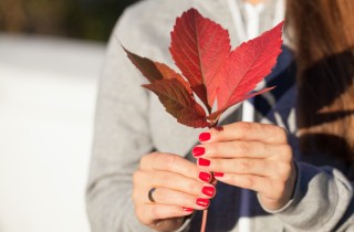 Trend nail art autunno 2021: le decorazioni chic da sfoggiare