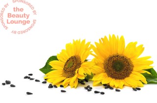 Olio di Girasole Biologico, un toccasana per la salute della pelle del viso