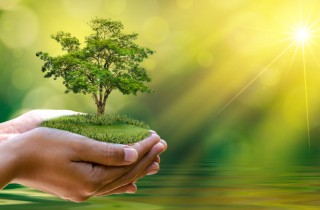 6 consigli per condurre una vita ecosostenibile