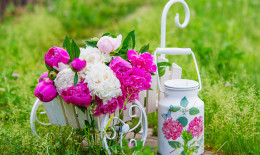 decoupage esempi, decoupage