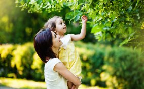 natale inverno fantasia addobbi albero decorazioni