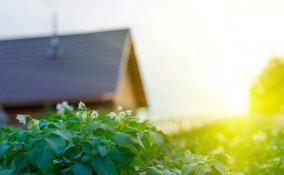 uovo guscio fantasia consigli suggerimenti riciclare 