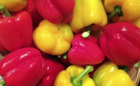 peperoni sott'aceto spezie antipasto contorno