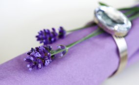 lavanda pietra cotto cucina country