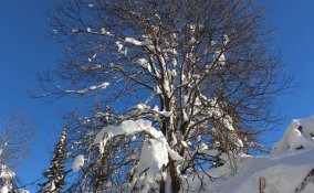 neve sport passeggiate sciare Friuli Venezia Giulia inverno vacanza