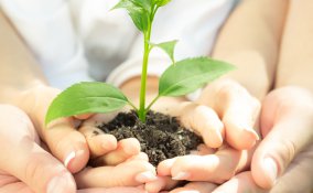 giornata della terra-ecologia-ambiente-pianta-crescita-mani