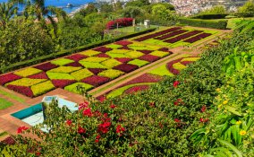 Madera Portogallo viaggi natura isola