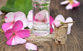 olio di geranio per un rimedio ECO