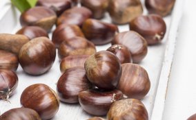 castagne decorazione