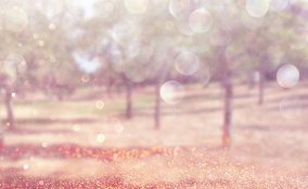 glitter brillantini fotografia 