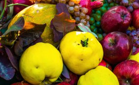 frutta fresca stagione consigli proprietà qualità