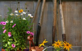 piante-attrezzatura-giardino