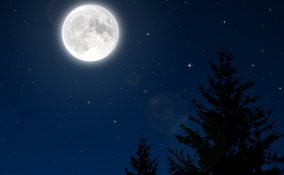 capelli parrucchiere estetista peli luna