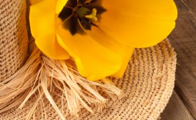 cappello, cappelli, decoupage, decoupage su tessuto, hobby, fai da te