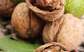 frutta guscio secca benefici salute proprietà nutritive