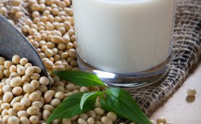 latte vegetale varietà scelta fatto in casa 