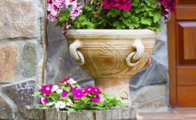 Il vaso giusto per le tue piante