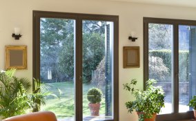 salotto-verde-piante