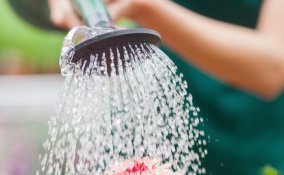 annaffiare-estate-piante