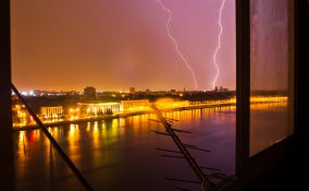 animale paura tuoni suoni trema soffre consigli suggerimenti