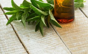 menta proprietà salute infusi cucina