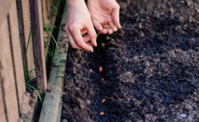 orto-primavera-consigli