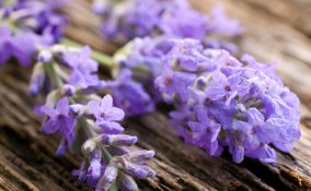 decoupage tridimensionale, decoupage su tessuto, hobby, fai da te