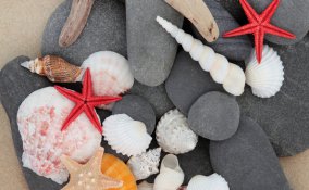 decoupage,  hobby, fai da te, ciottoli, sassi, conchiglie