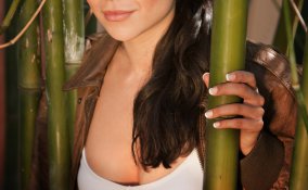 safari, città, chic