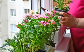 cera pericoli risparmio materiali finiture inquinamento ecologia tessuti legno mobili casa 