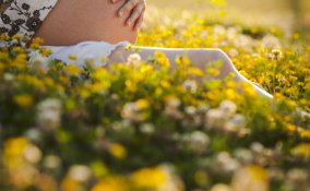 comportamenti, bambino, gravidanza