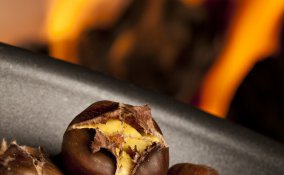 castagna frutta autunno inverno marrone foresta