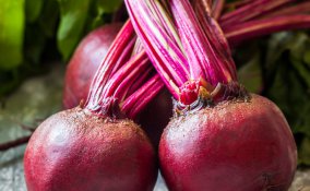 barbabietole-cucina-ortaggio