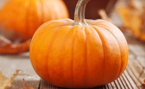 zucca-cucina-ricette