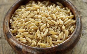 kamut-ricette-biologico