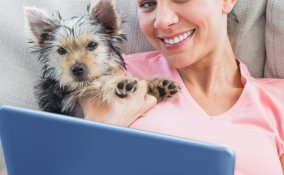 Il social network per i cani