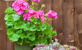 come riparare dal vento il terrazzo