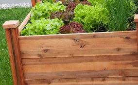 serra fai da te sul balcone